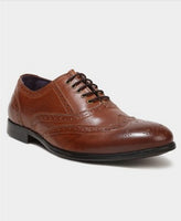 Knotty Derby Men Brown Brogues